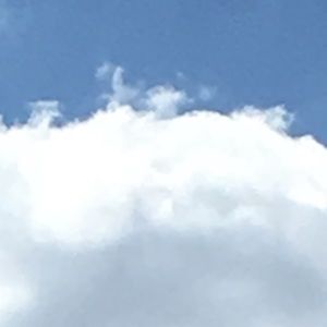 Meet your Posher, Cedar